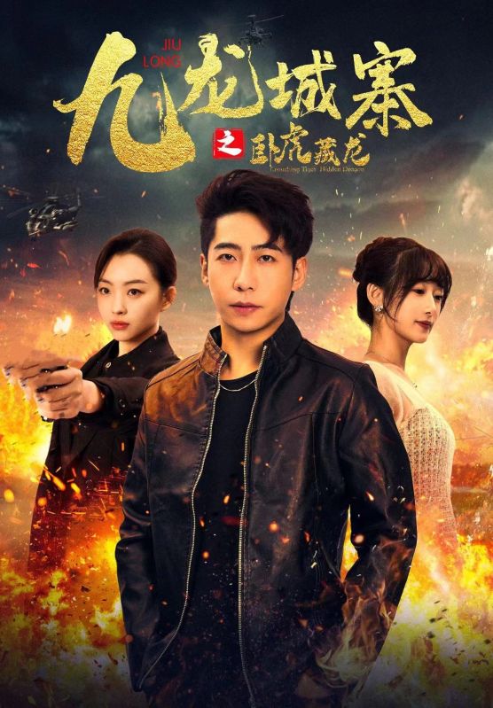 《九龙城寨之卧虎藏龙》完整版在线观看