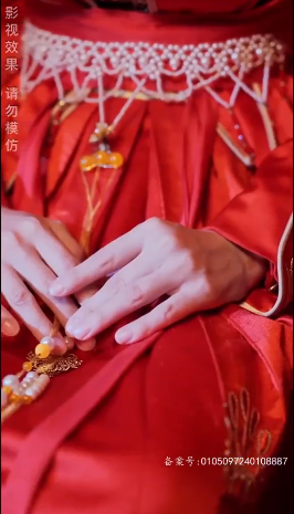 《傅总的天降太子妃》完整版在线观看