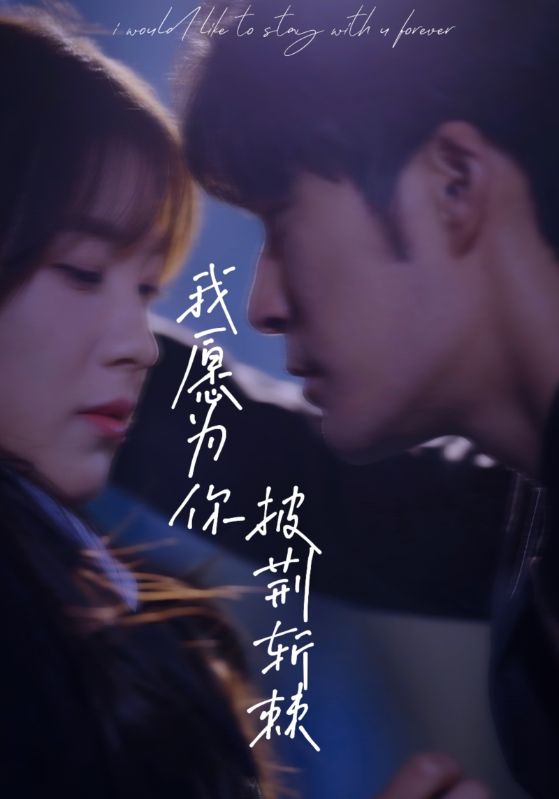 《我愿为你披荆斩棘》完整版在线观看