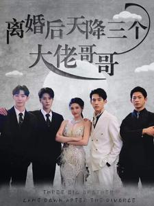 《离婚后天降三个大佬哥哥》完整版在线观看
