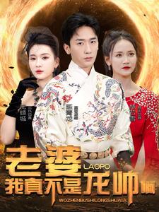 《老婆我真不是龙帅啊》完整版在线观看