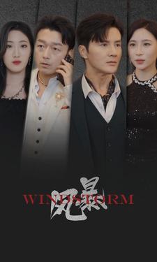 《风暴 短剧版》完整版在线观看