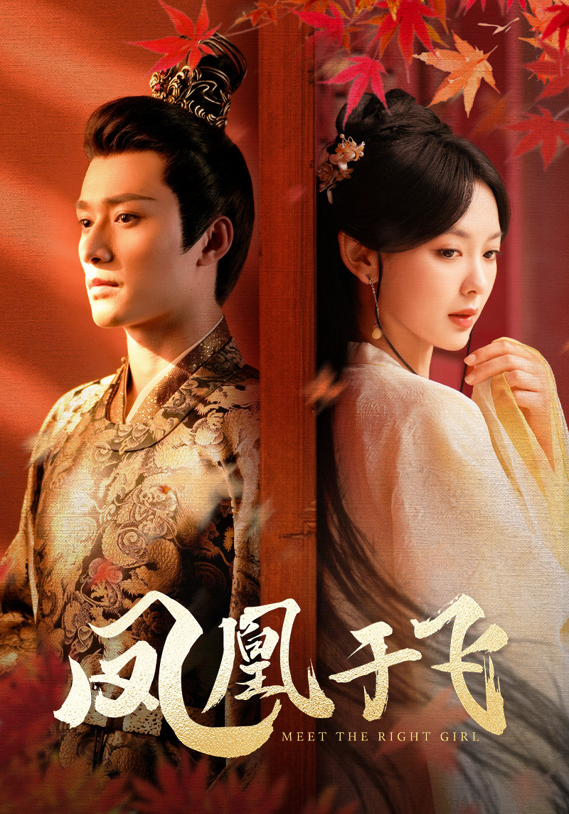 《凤凰于飞》完整版在线观看