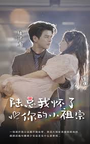 《陆总，我怀了你的小祖宗》完整版在线观看