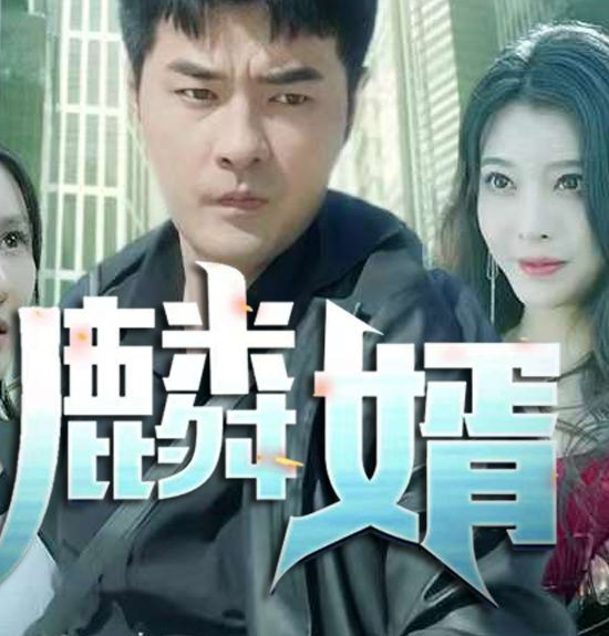 《麟婿》完整版在线观看