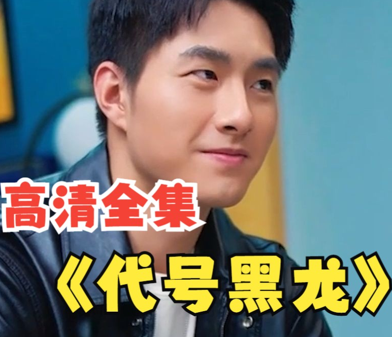 《代号黑龙》完整版在线观看