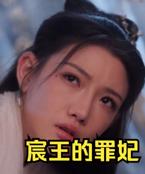 《宸王的罪妃》完整版在线观看