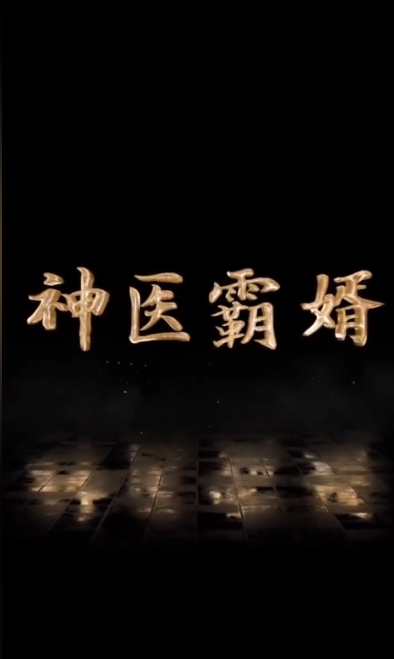 《神医霸婿》完整版在线观看