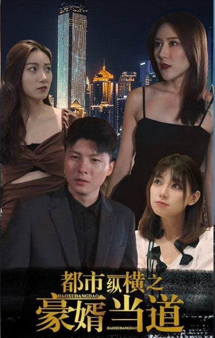 《都市纵横之豪婿当道》完整版在线观看