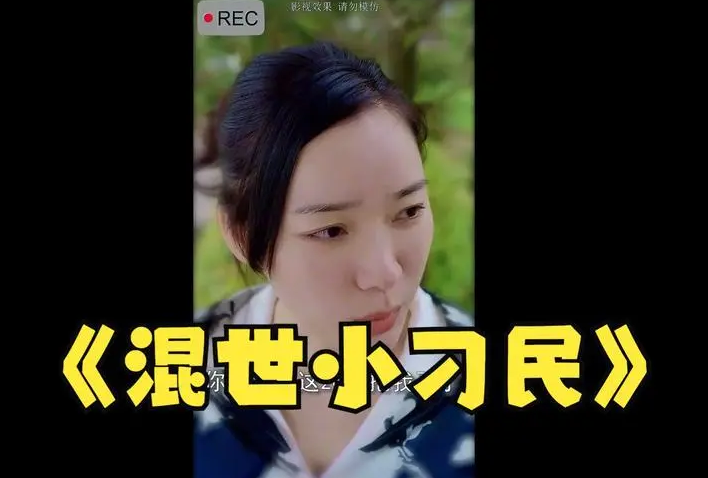 《混世小刁民》完整版在线观看