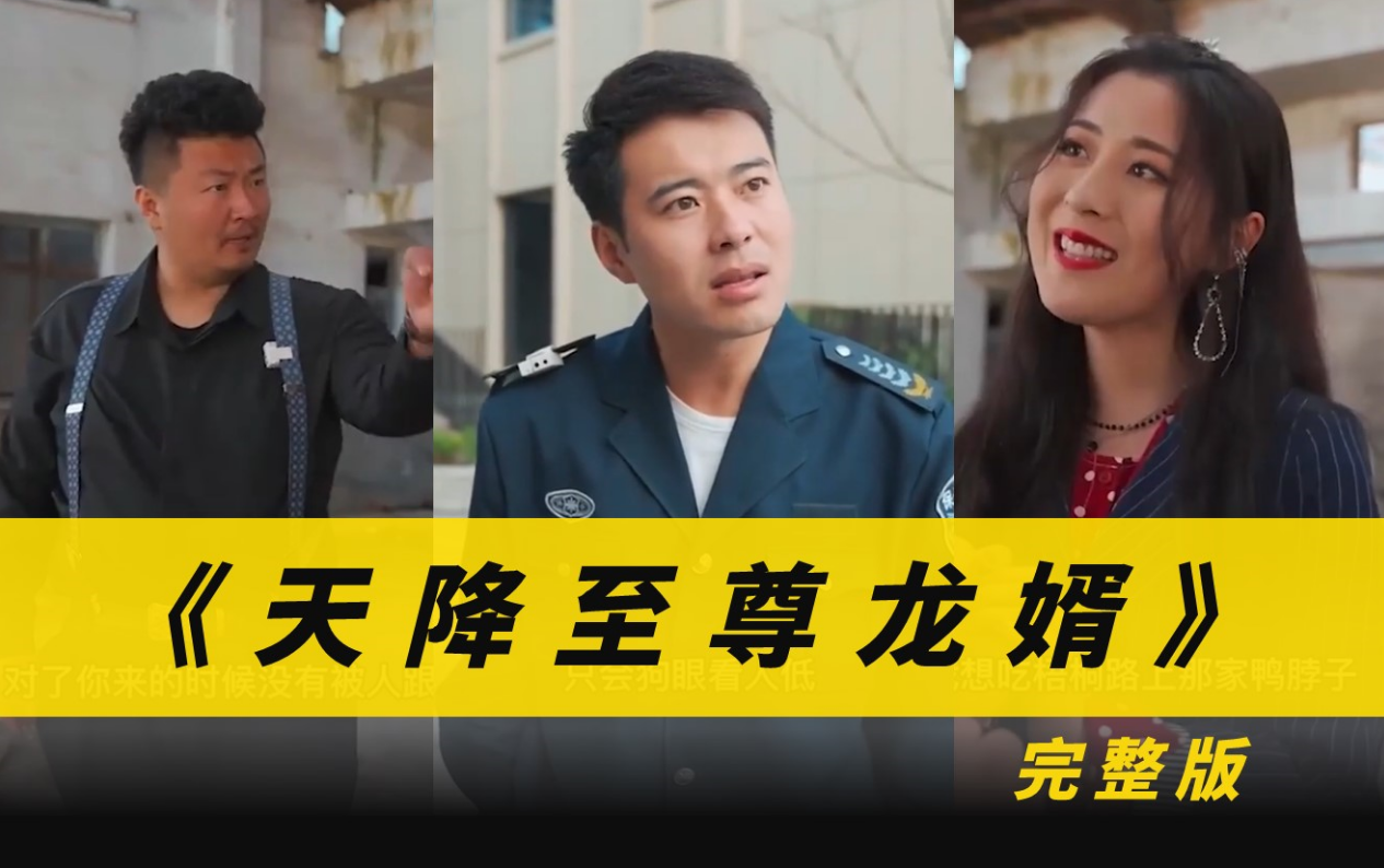 《天降至尊龙婿》完整版在线观看