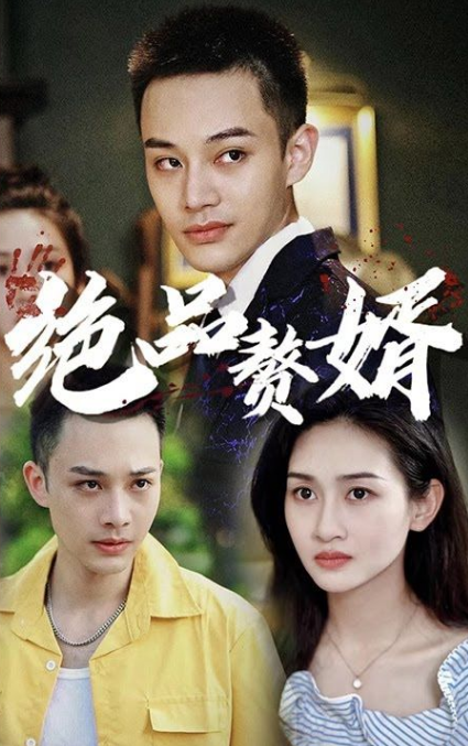 《绝品赘婿》完整版在线观看