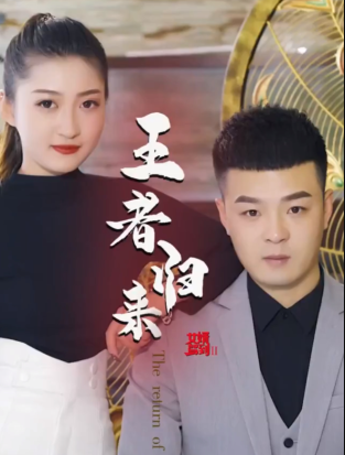 《女婿驾到②王者归来》完整版在线观看