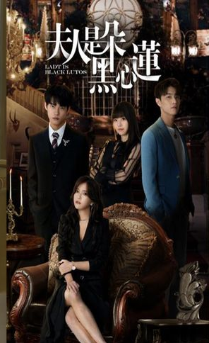 《夫人是朵黑心莲》完整版在线观看