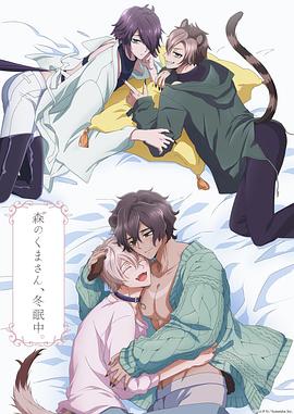 《森林里的熊先生冬眠中》完整版在线观看