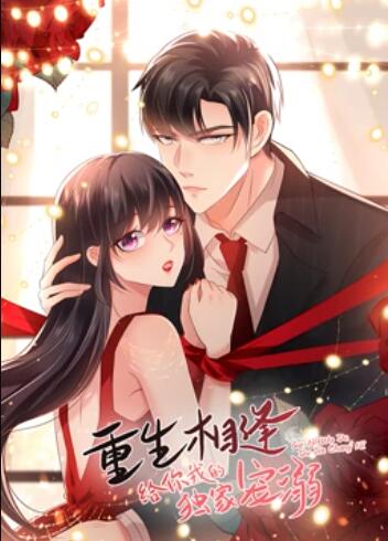 《重生相逢：给你我的独家宠溺 动态漫画》完整版在线观看