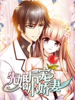 《先婚后宠小娇妻第一季》完整版在线观看
