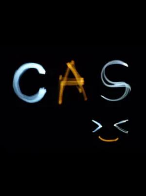 《海岸线不污正业sp》完整版在线观看