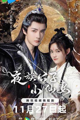 《夜族公子小仙妻》完整版在线观看
