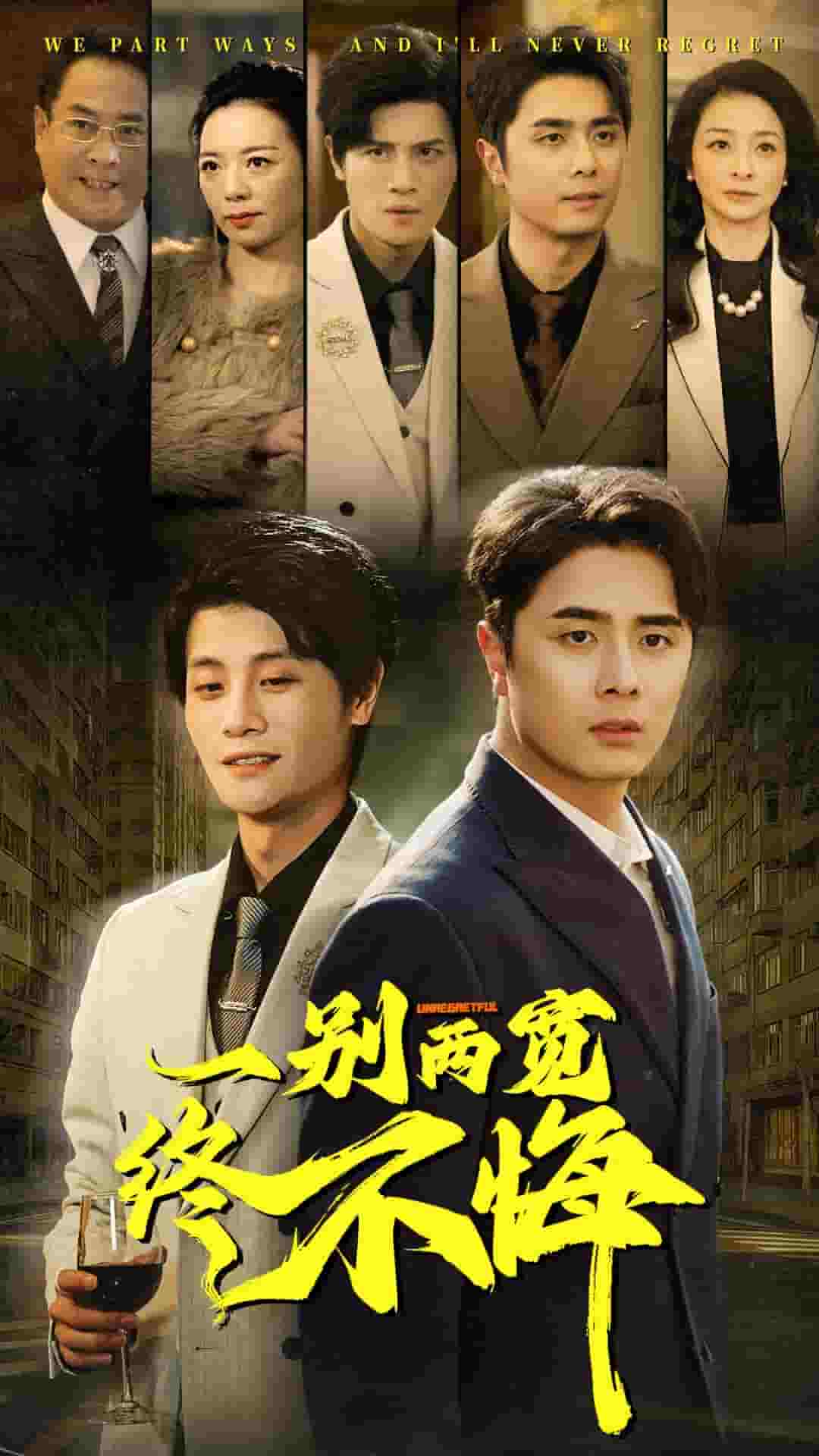 《一别两宽终不悔》完整版在线观看