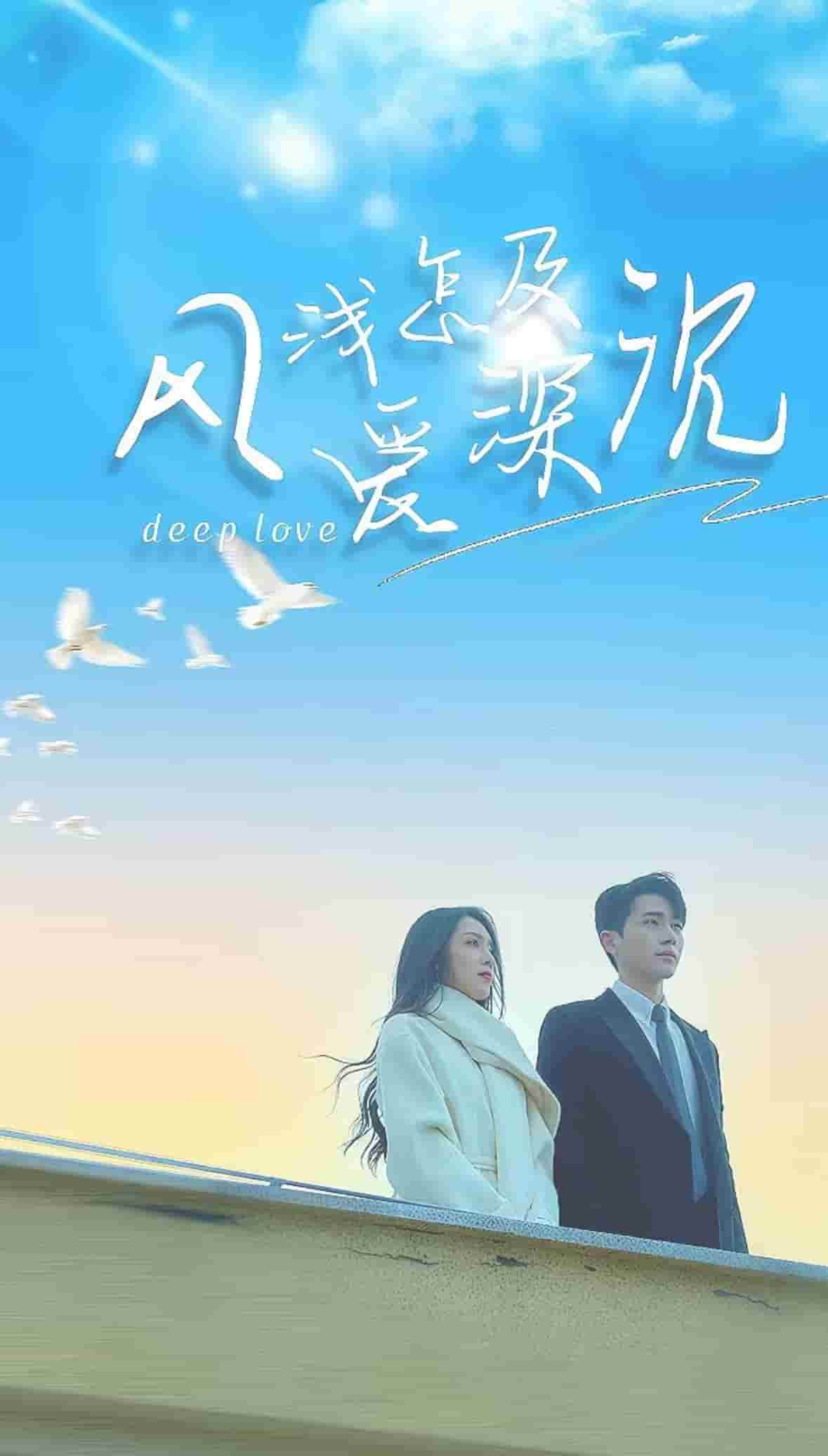 《风浅怎及爱深沉》完整版在线观看