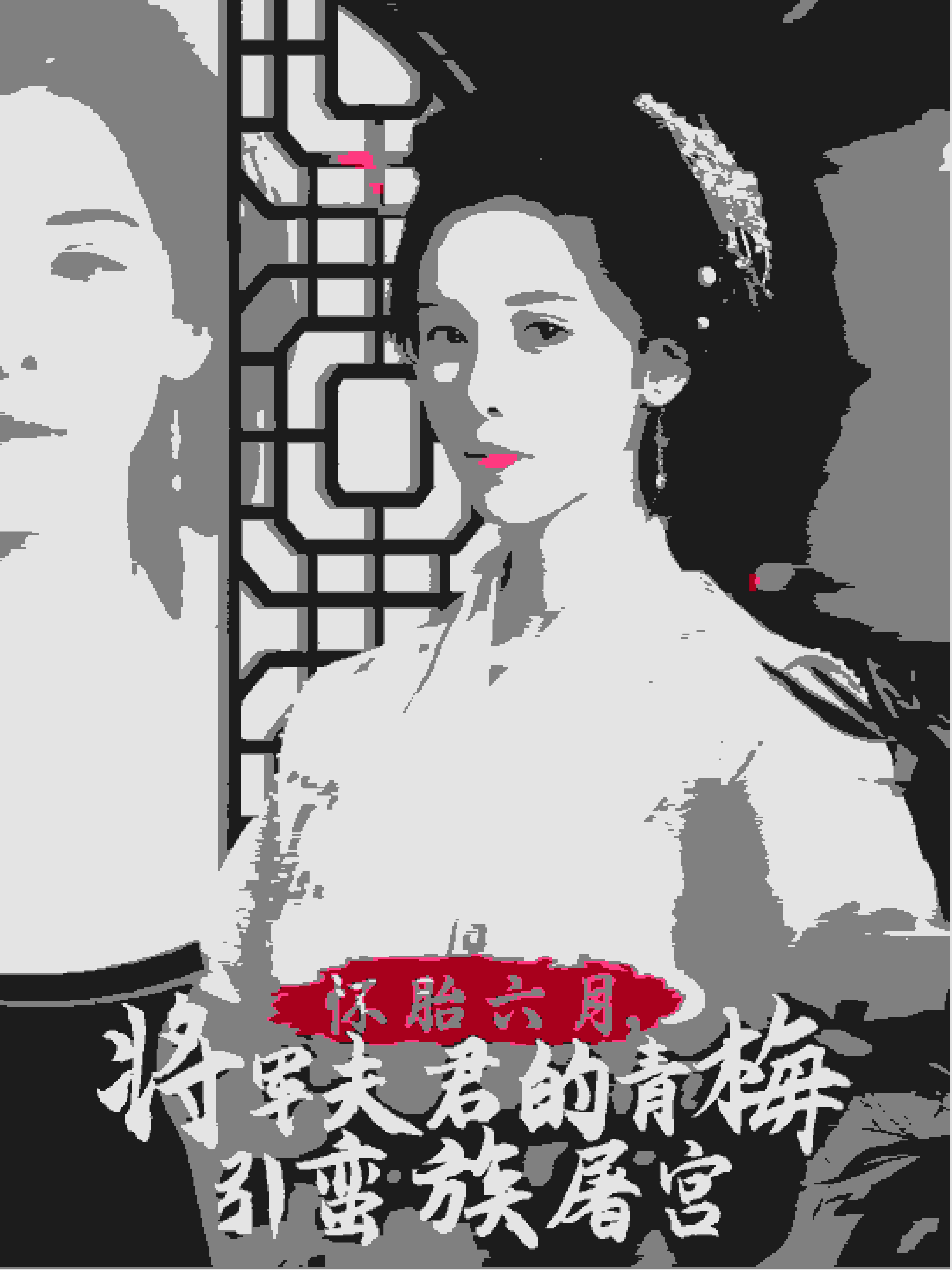 《怀胎六月，将军夫君的青梅引蛮族屠宫》完整版在线观看