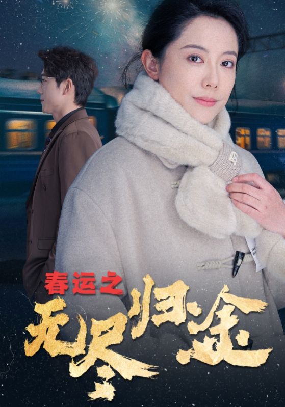 《春运之无尽归途》完整版在线观看