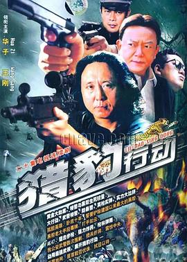 《金海岸》完整版在线观看