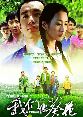 《我们像葵花》完整版在线观看