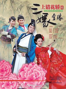 《上错花轿之三嫁奇缘》完整版在线观看