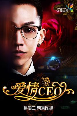《爱情CEO》完整版在线观看