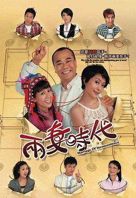 《两妻时代粤语》完整版在线观看