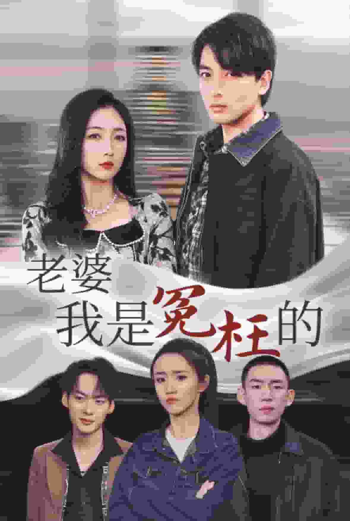 《老婆我是冤枉的》完整版在线观看