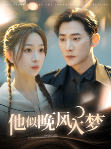 《他似晚风入梦》完整版在线观看