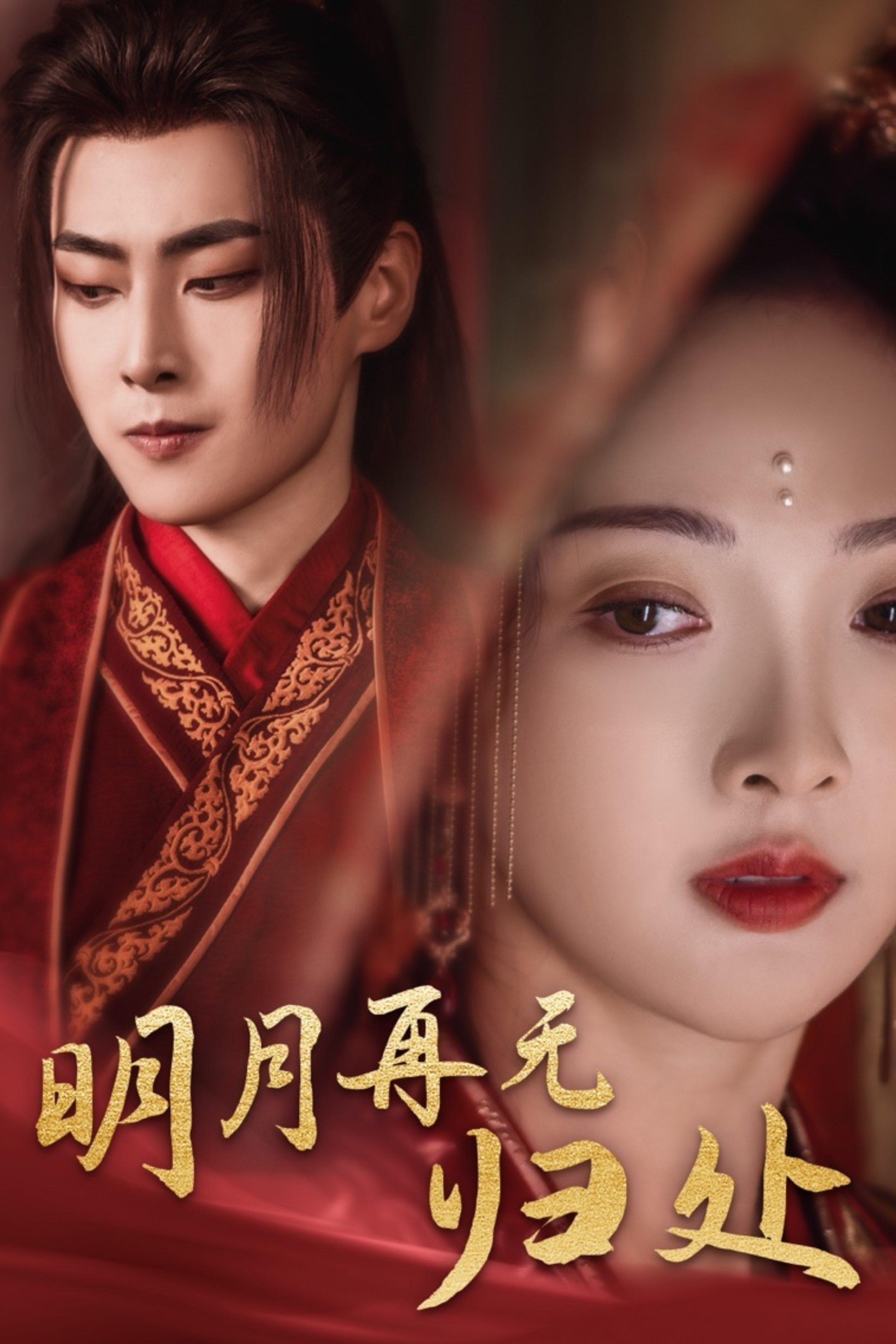 《明月再无归处》完整版在线观看