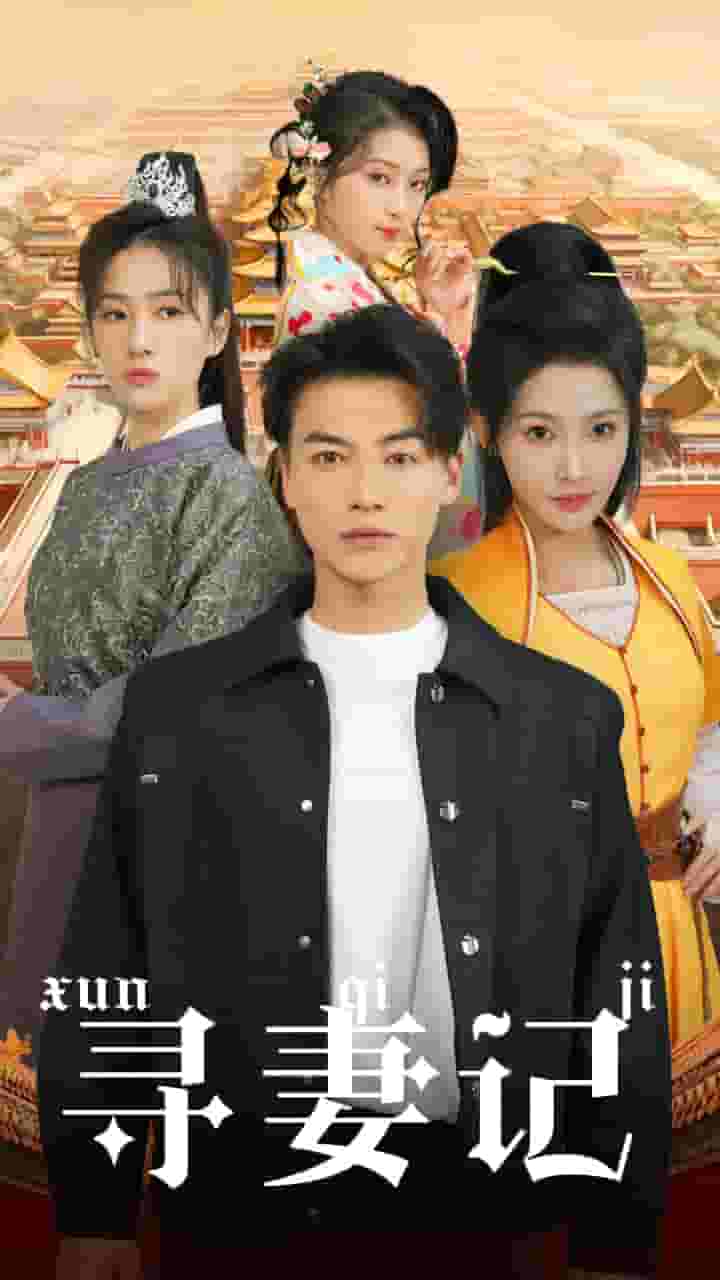 《寻妻记》完整版在线观看