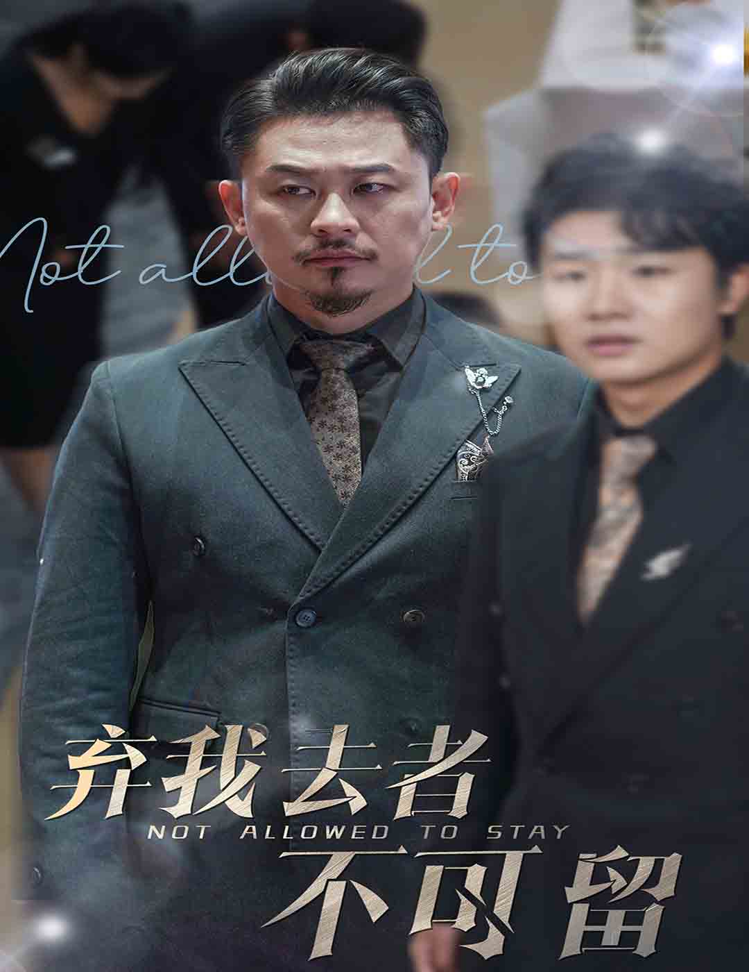 《弃我去者不可留》完整版在线观看