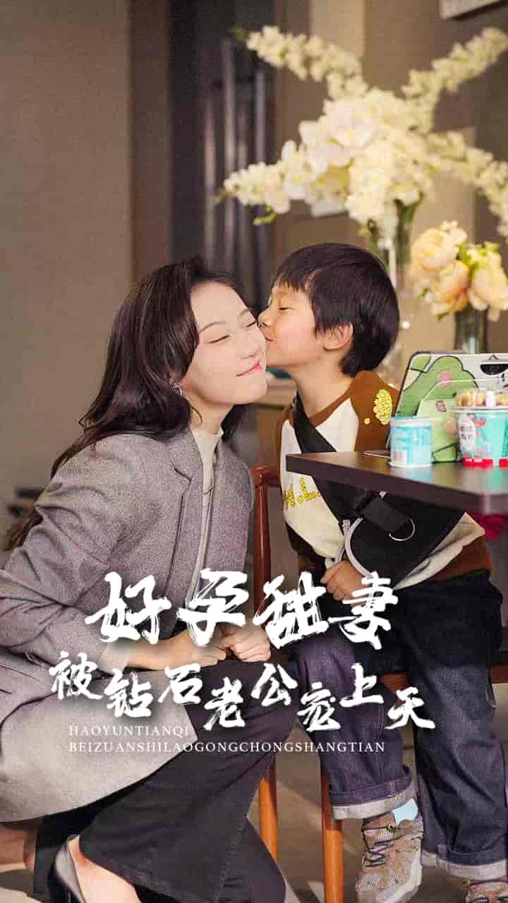 《好孕甜妻被钻石老公宠上天》完整版在线观看