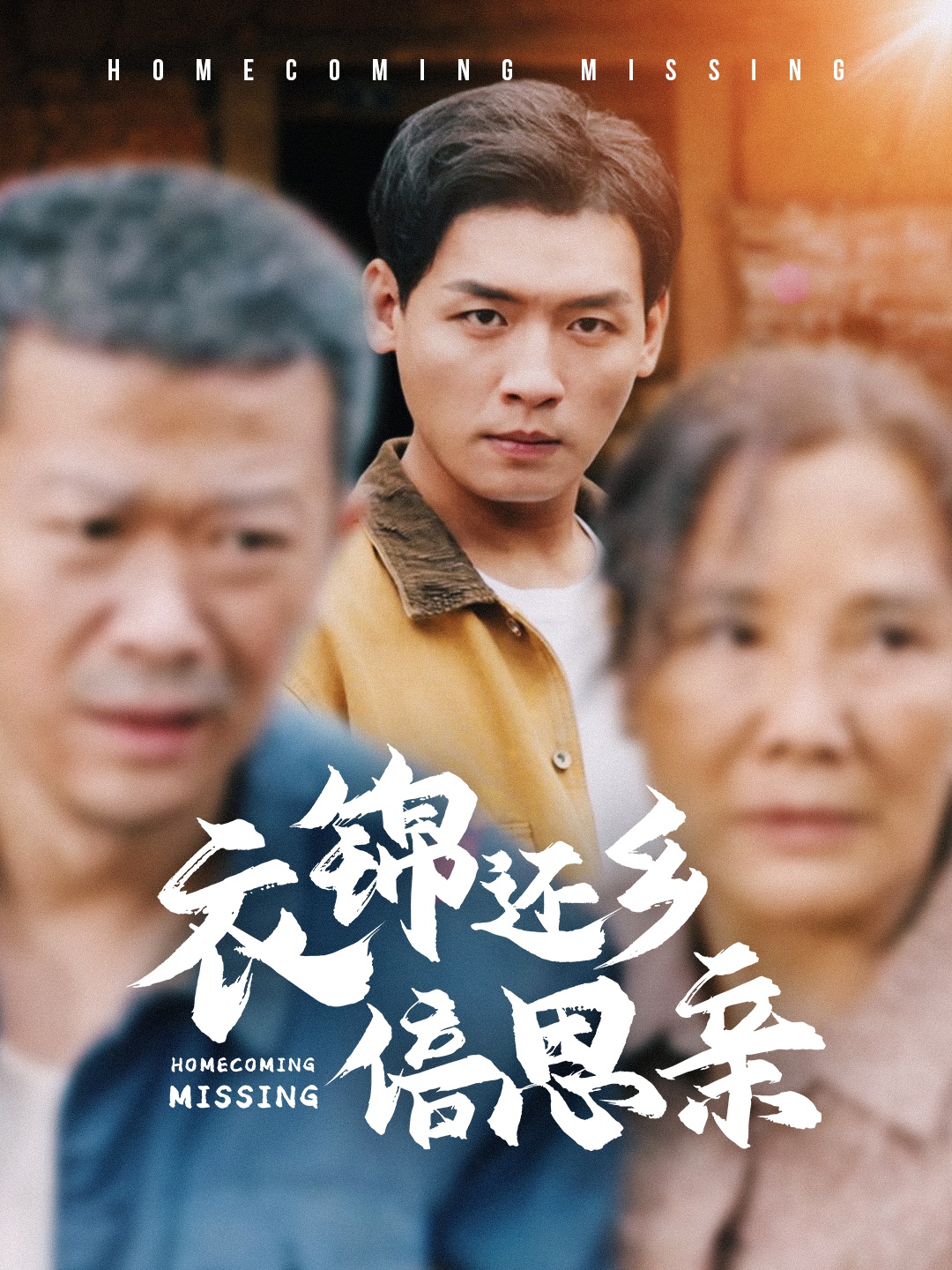 《衣锦还乡倍思亲》完整版在线观看