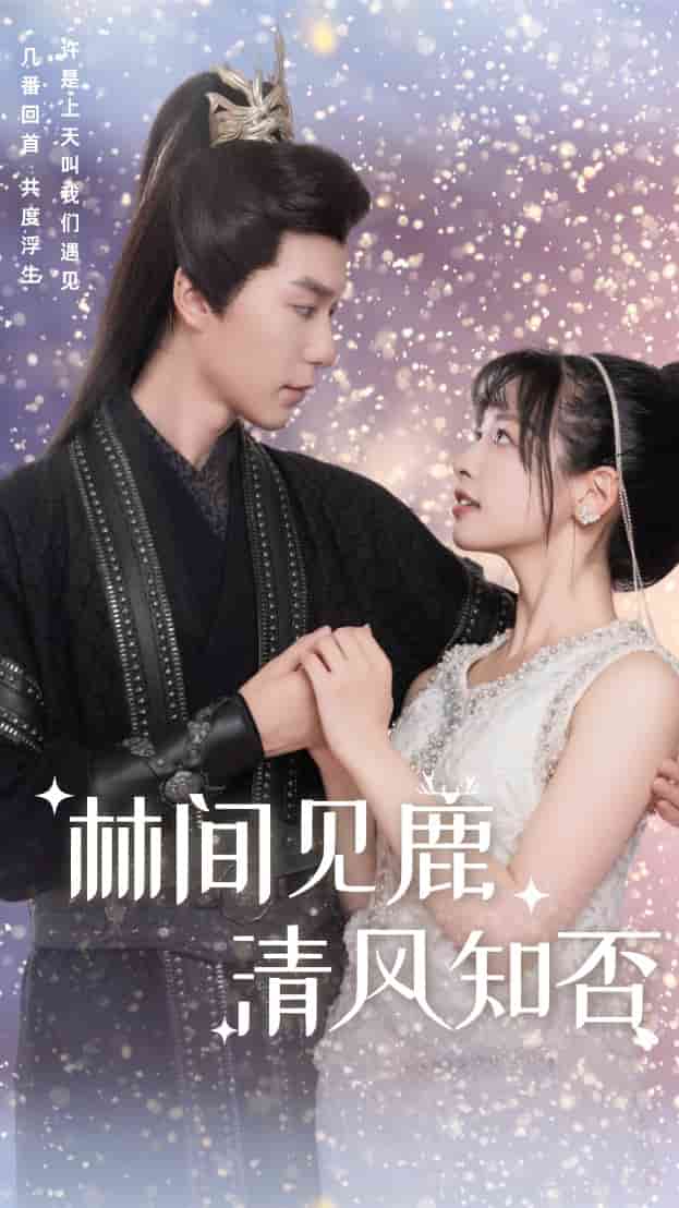 《林间见鹿清风知否》完整版在线观看