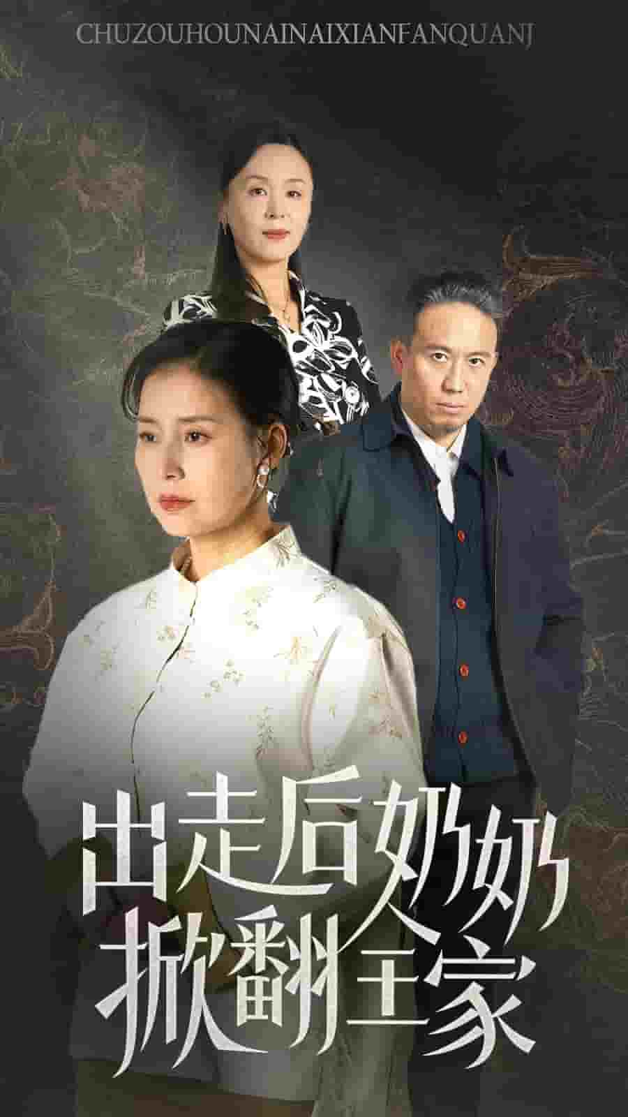 《出走后奶奶掀翻全家》完整版在线观看