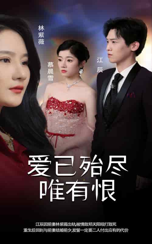 《爱已殆尽唯有恨》完整版在线观看