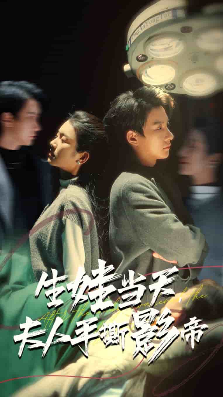 《生娃当天夫人手撕影帝》完整版在线观看