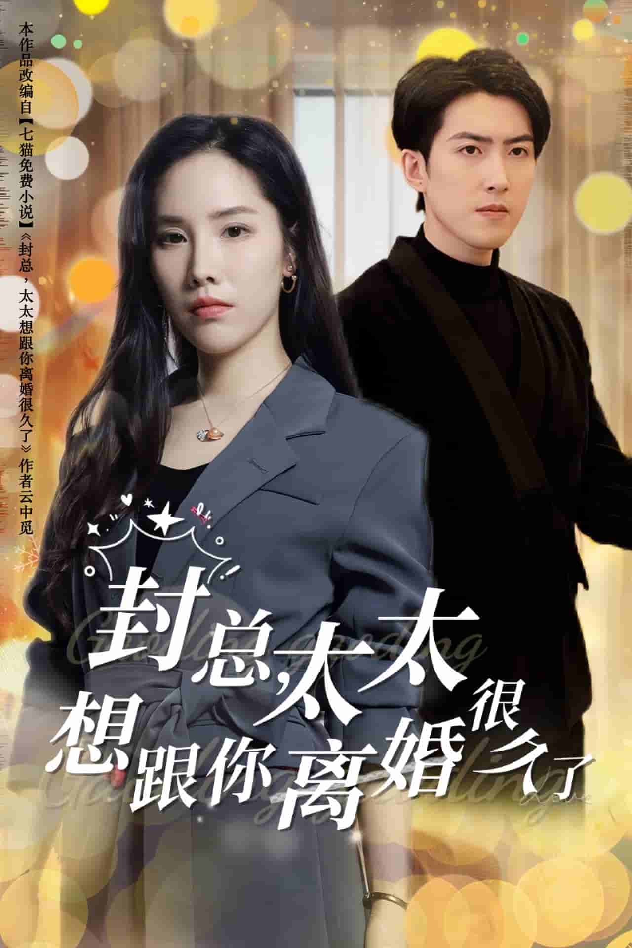 《封总太太想跟你离婚很久了》完整版在线观看