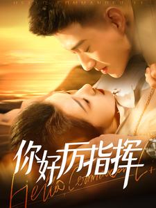 《你好厉指挥》完整版在线观看