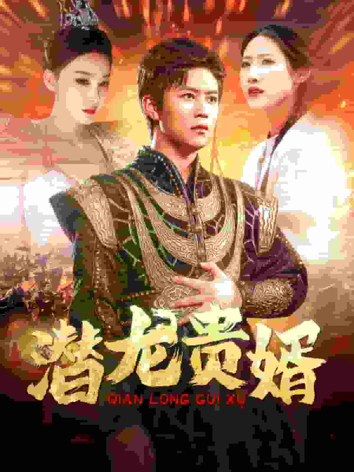 《潜龙贵婿》完整版在线观看