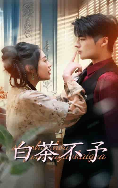 《白茶不予》完整版在线观看