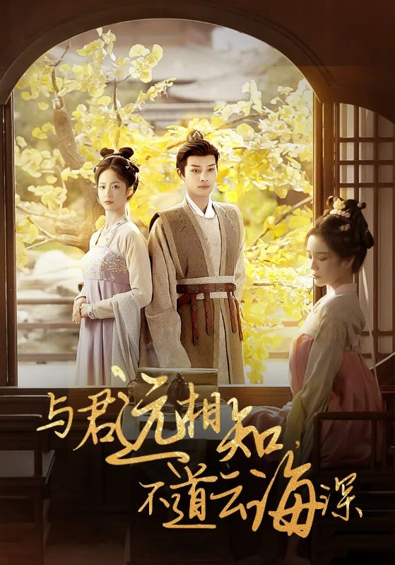 《与君远相知不道云海深》完整版在线观看