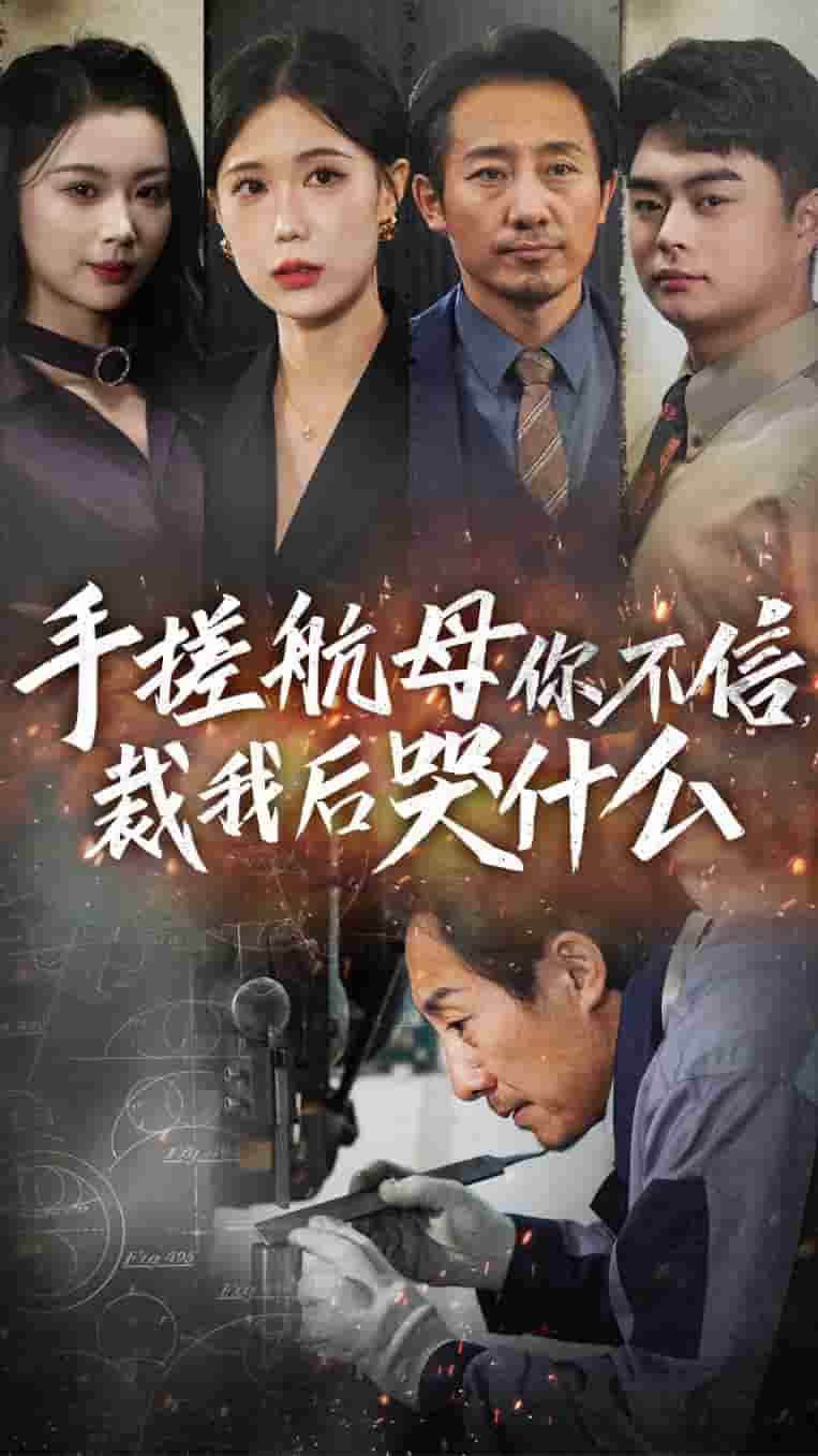 《手搓航母你不信裁我后哭什么》完整版在线观看