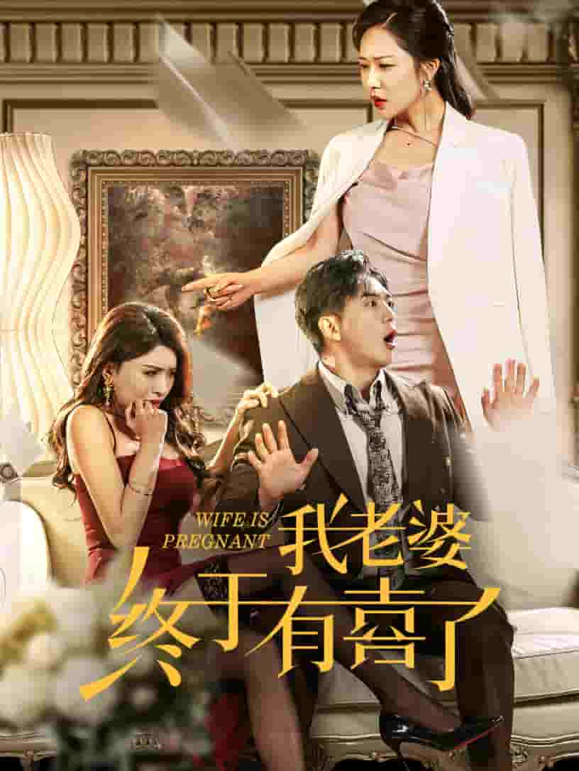 《我老婆终于有喜了》完整版在线观看